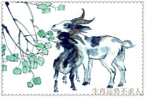 生肖羊的人命最好,十二生肖羊到底是什么命