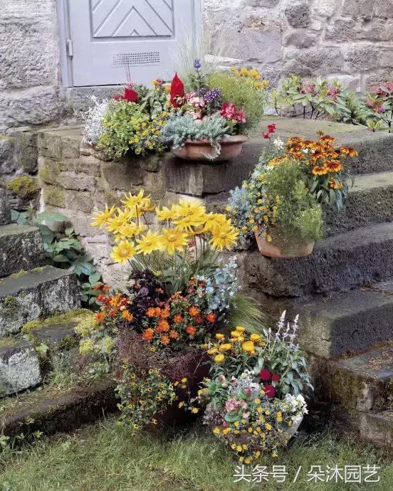 园艺插花容器,容器家庭园艺