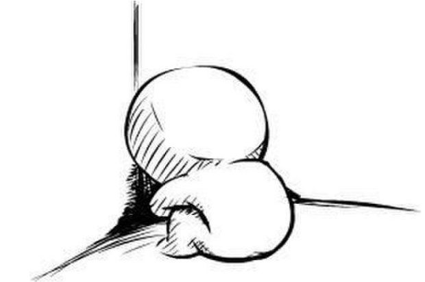 为什么格列卫这么厉害,格列卫是什么样的