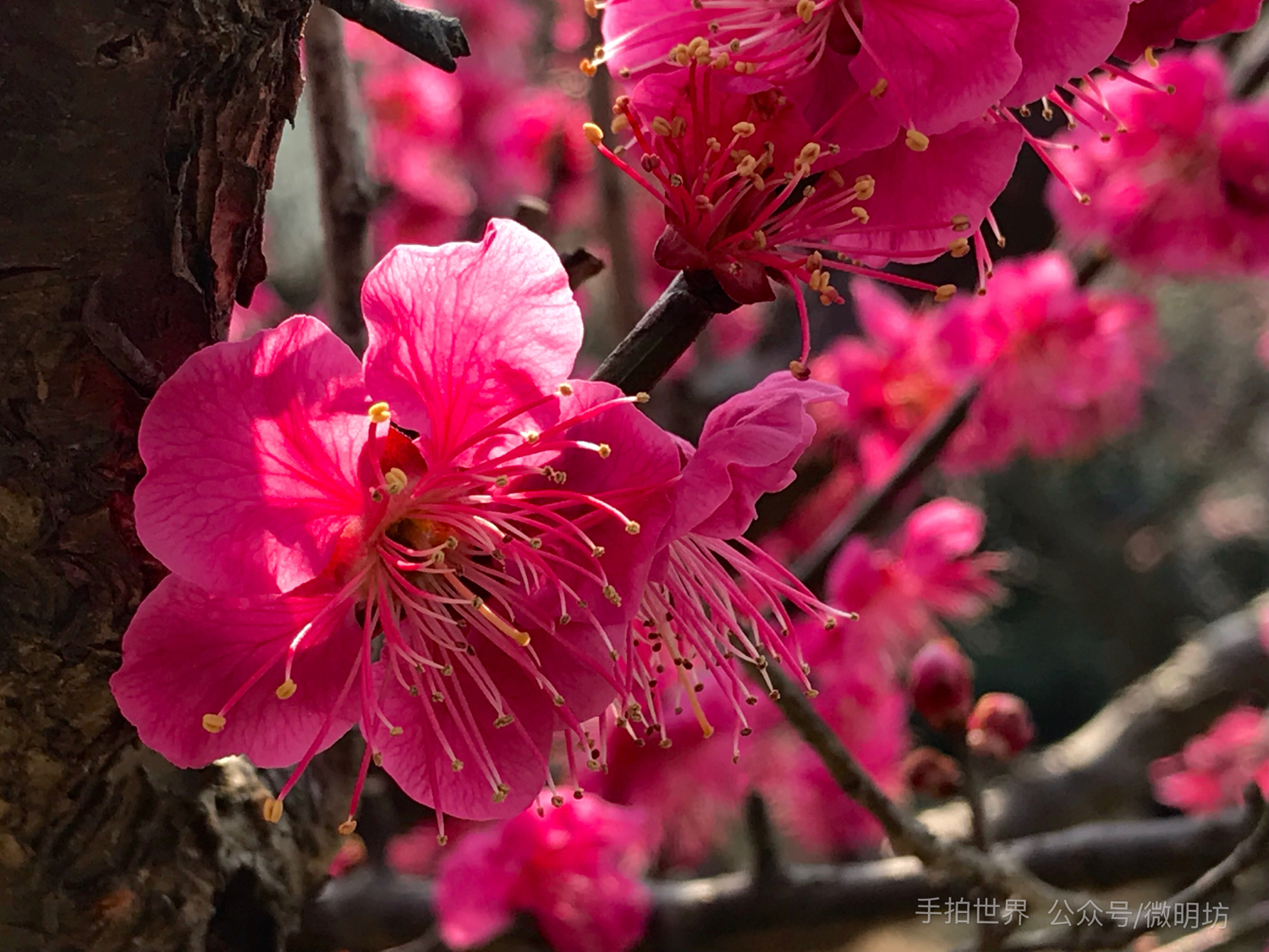 图片分辨率英文缩写,照片的格式英文缩写是什么