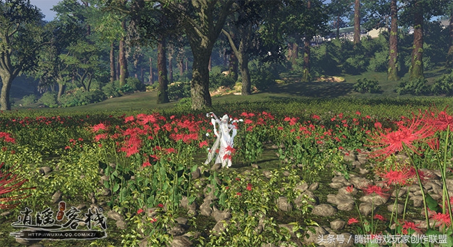 春暖花开时如期而至,春暖花开的时节鲜花盛开真漂亮