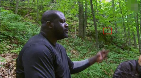 孕妇千万不要吃木耳,孕妇慎用营养成分