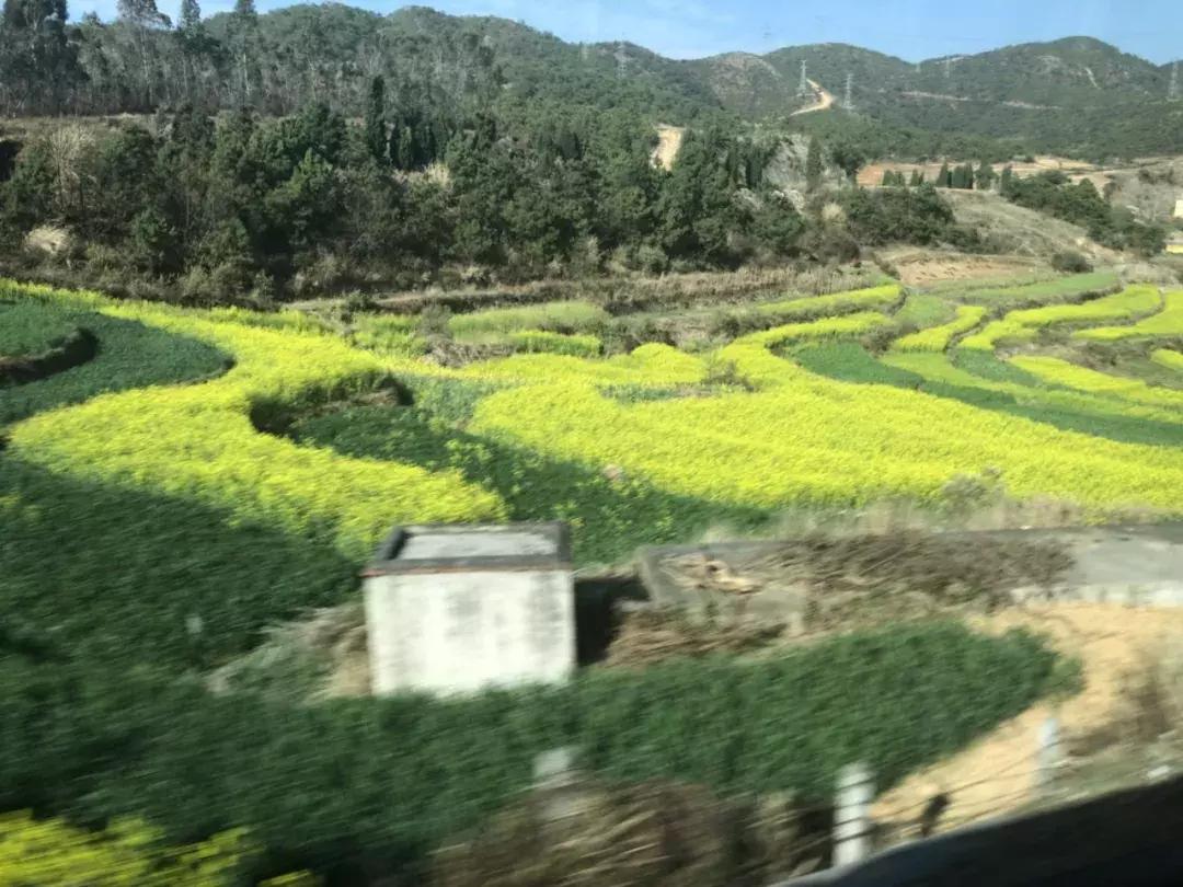 599元一场风花雪月之旅，老司机亲自体验完才推荐给你的旅行!