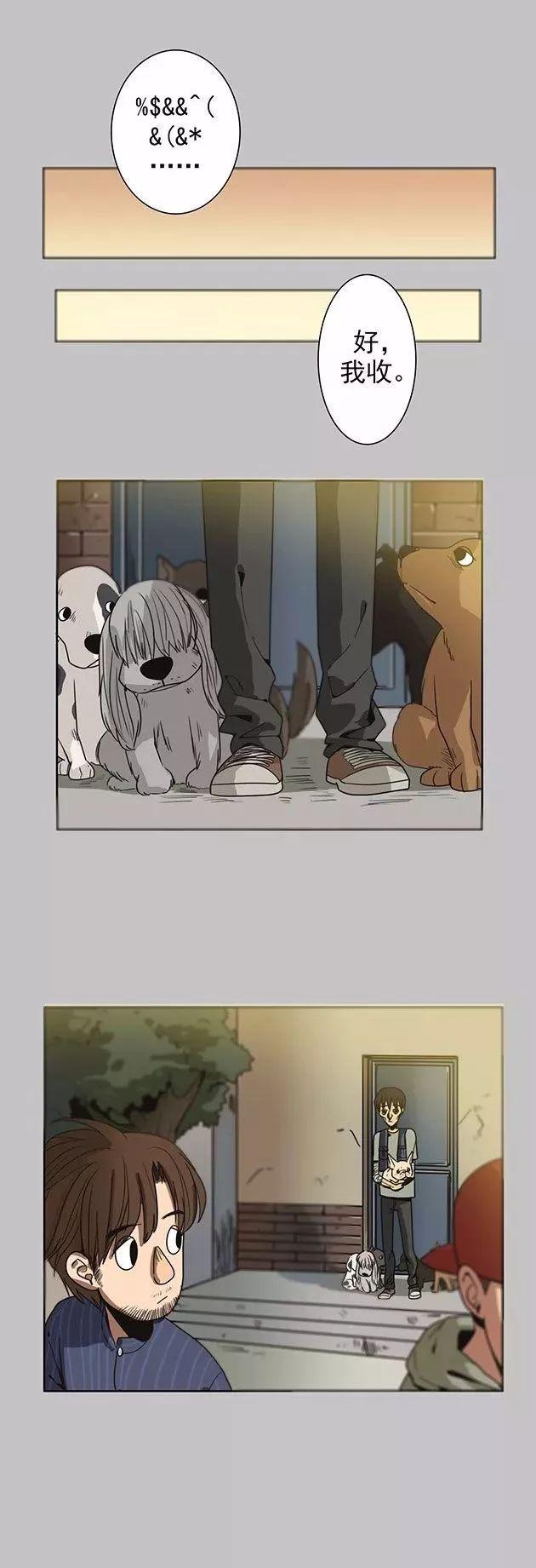 猫和铲屎官的日常生活漫画,铲屎官的搞笑漫画