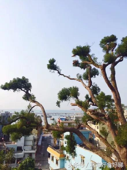 珠海海岛民宿,珠海旅游民宿推荐