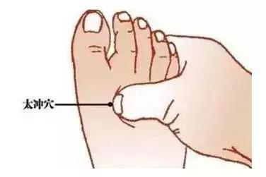 肝火旺喝什么茶养肝护肝,养肝护肝去肝火喝什么茶最好