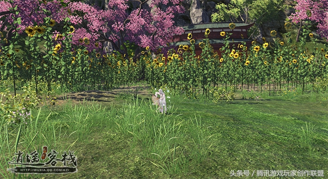 春暖花开时如期而至,春暖花开的时节鲜花盛开真漂亮