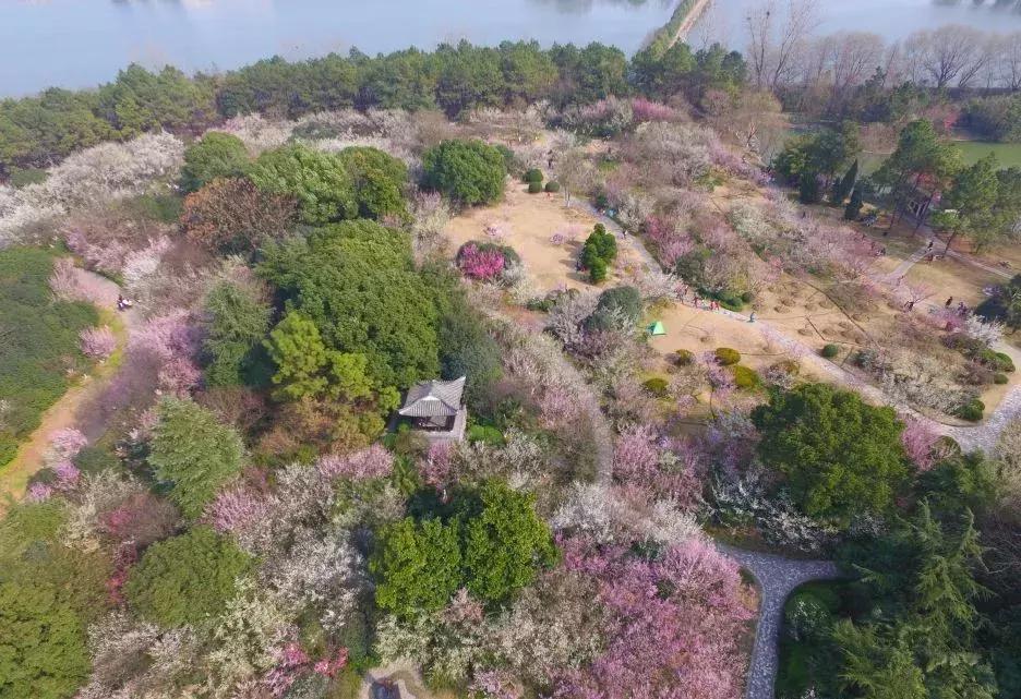 合肥周边自驾游一日游景点大全,合肥到六安一日游最佳去处深秋