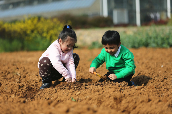 植树节主题升旗仪式活动方案,企业植树节活动创意活动方案