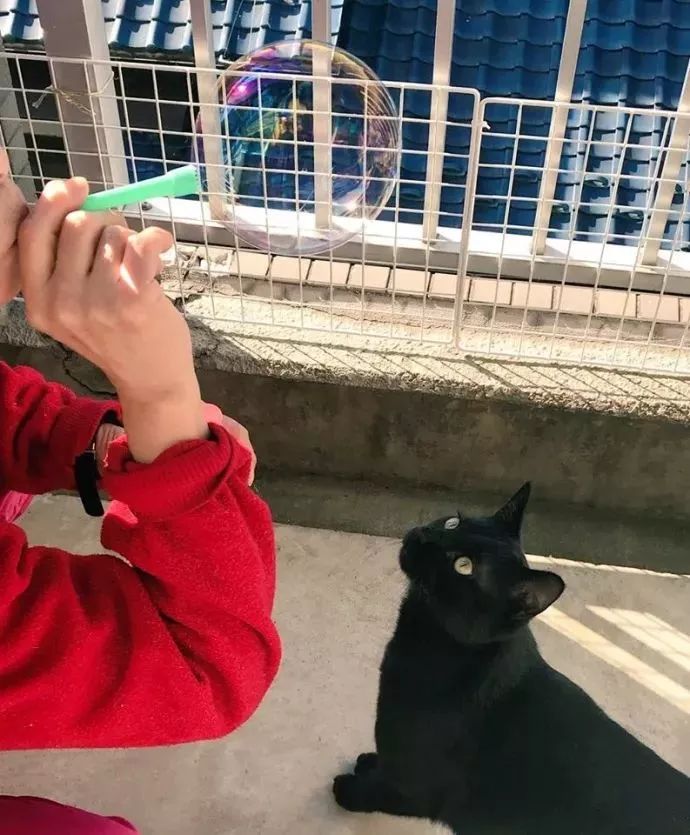 测测你是不是直男或者直女,不穷不丑