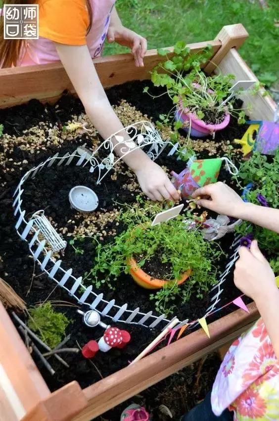 幼儿园春天植物角摆台,幼儿园植物角创意布置图片大全集