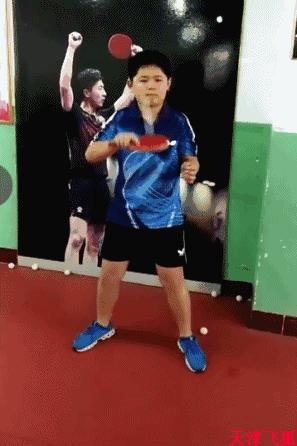 乒乓球系统训练计划明细表,乒乓球基础教练教学书籍