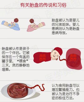 胎盘孕妇能吃吗有什么作用,孕妇胎盘吃了有什么作用吗