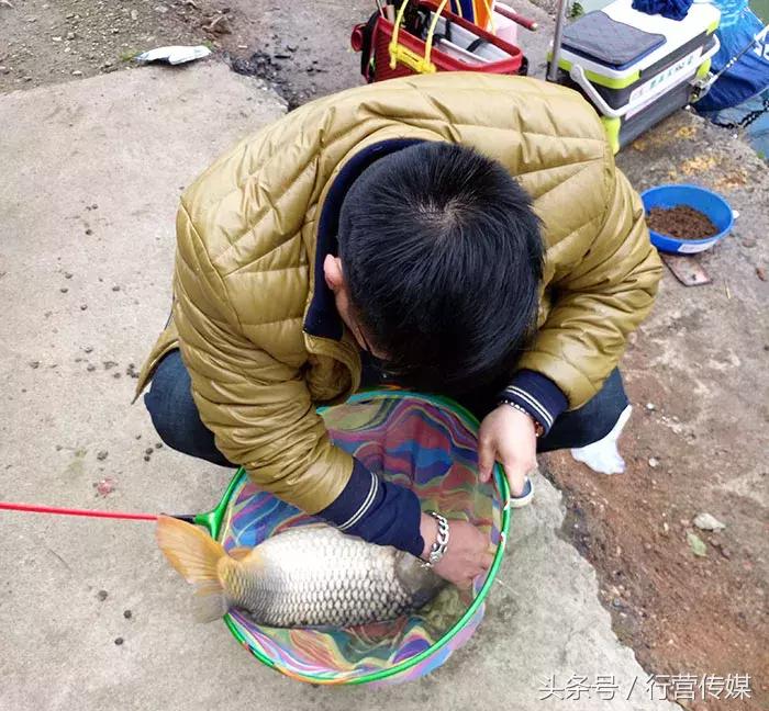 不一样的钓鱼视频,最严格的钓鱼比赛