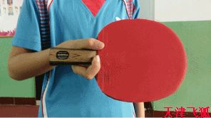 乒乓球训练教材,乒乓球系统训练计划明细表