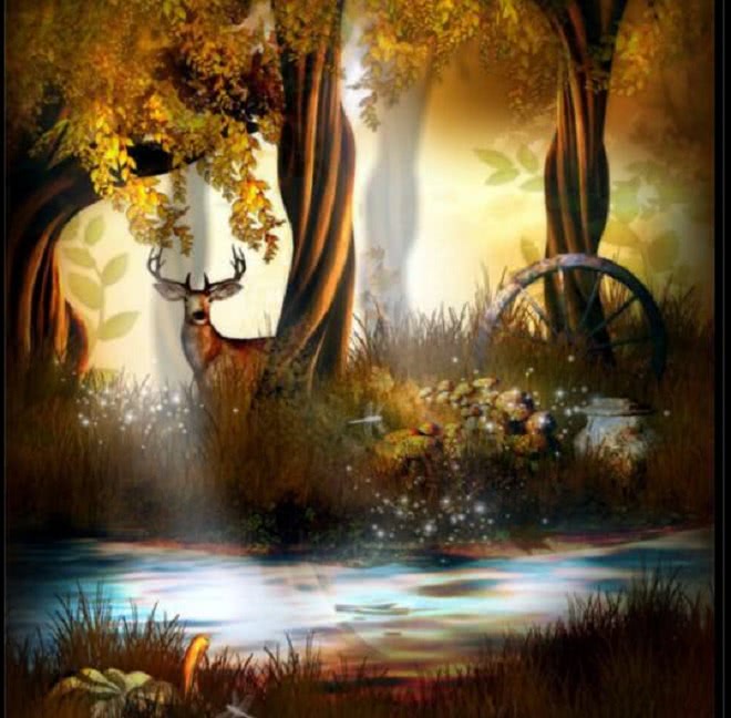 周公解梦6大梦境预示好兆头,梦见这4种事预示你会转好运