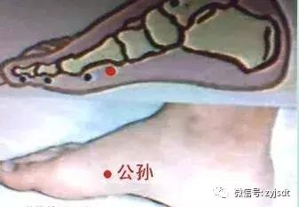 中医减肥降脂化痰祛湿方剂,祛湿化痰减肥药方