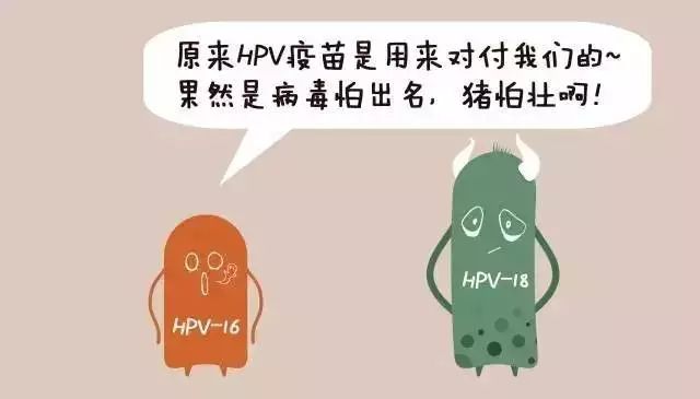 天津怎么预约四价,天津四价hpv疫苗预约