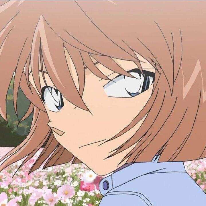 名侦探柯南无法理解的杀人动机,名侦探柯南柯南如何狡辩