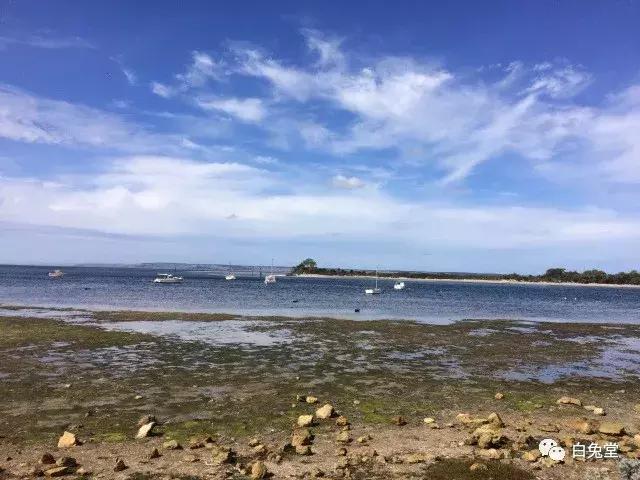 「白兔堂」可能只有不到10%的游客在澳洲玩到了这些！你玩对了吗？