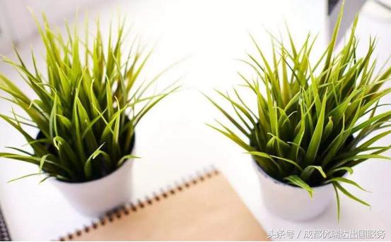 美国海关入境禁带物品,美国海关禁止入境物品