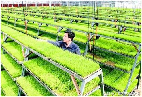 女性有潜力的创业项目,适合女性小本创业项目推荐