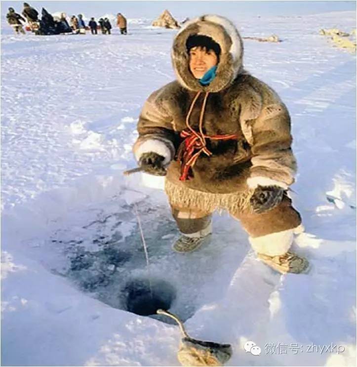 降血脂降胆固醇鱼油,金凯萨红鱼油降血脂