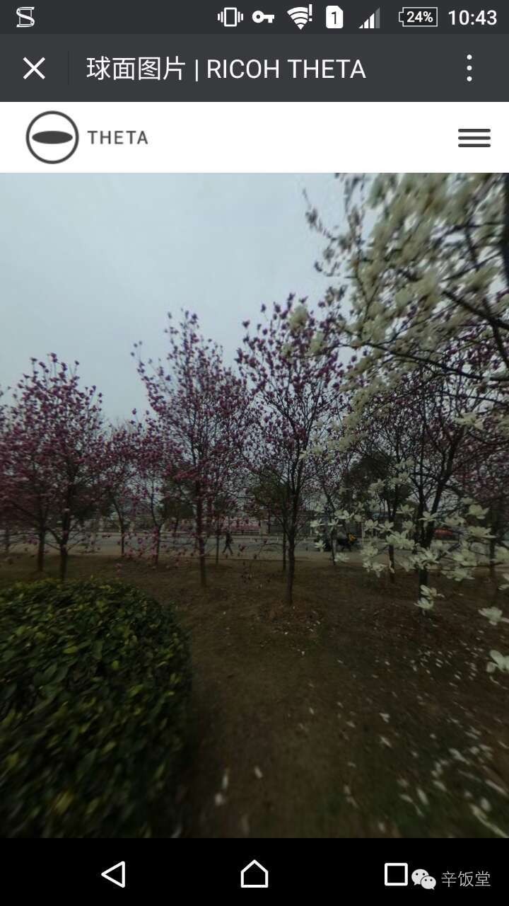 测评便宜的全景相机,理光全景相机与影石测评