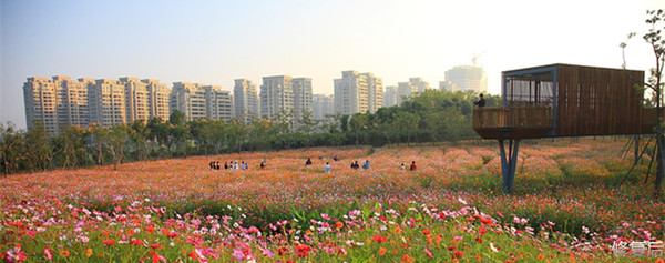 城市双修的缺点,什么是城市双修