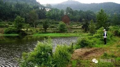 中国沿海最美乡村,最美渔村临江坪