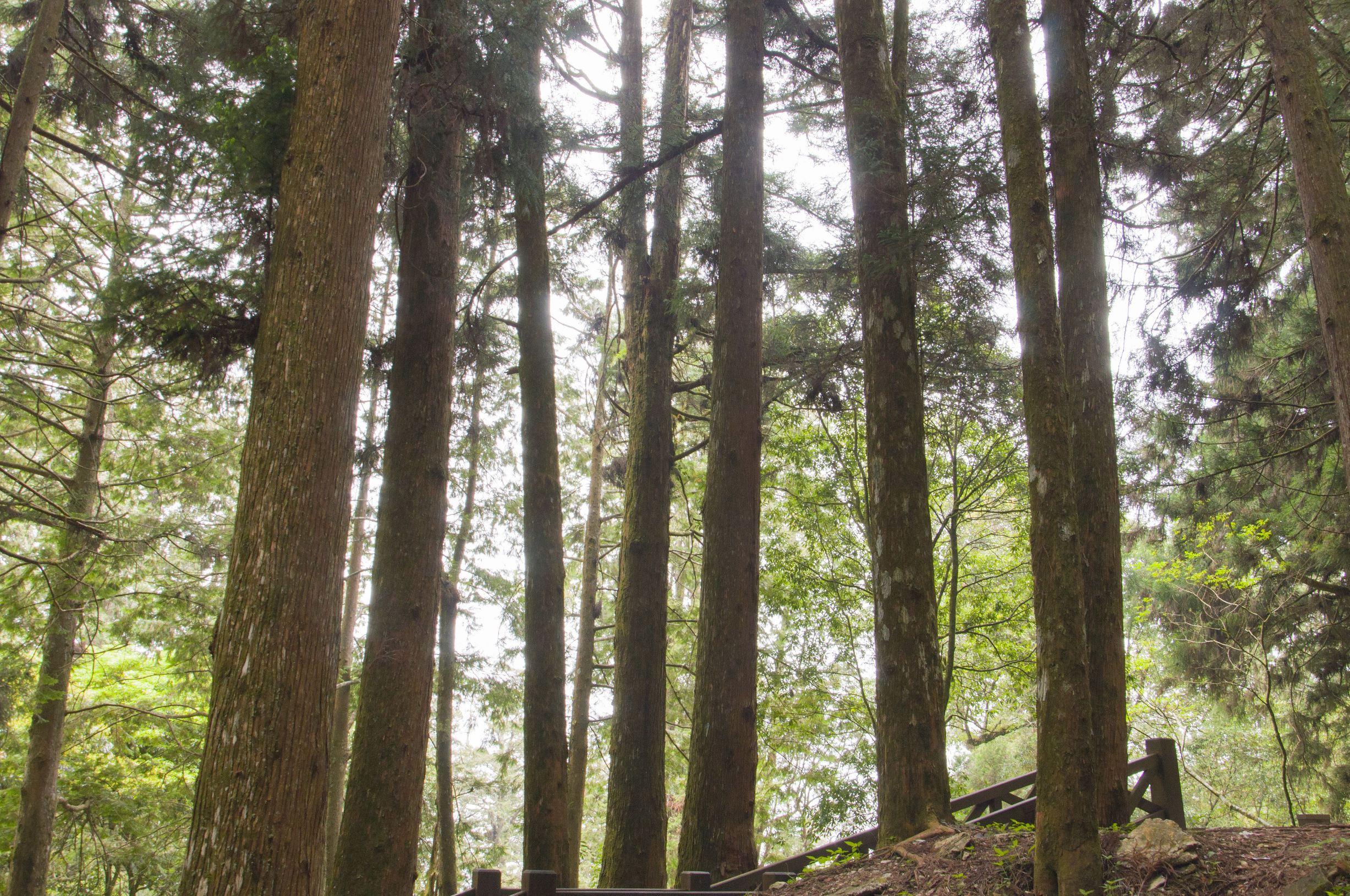 台湾印象图片,台湾印象之日月潭