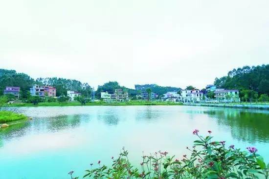 广州大热乡村旅游攻略,广州乡村游