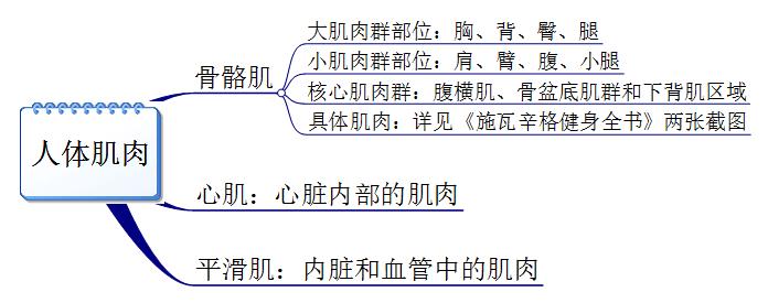 新手健身必须要知道的几件事,新手健身记住下面六条知识