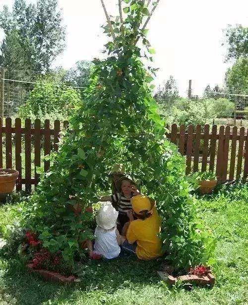 妈！咱家菜园里的鸡蛋发芽了