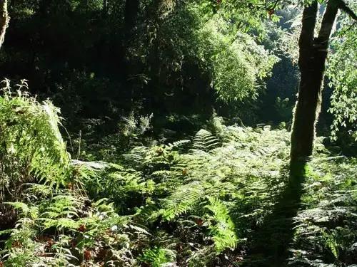 云南纳木错国家公园,云南昆明发现一个超大好玩的公园