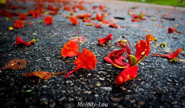 阴翳三宅一生,三宅一生阴翳灯系列