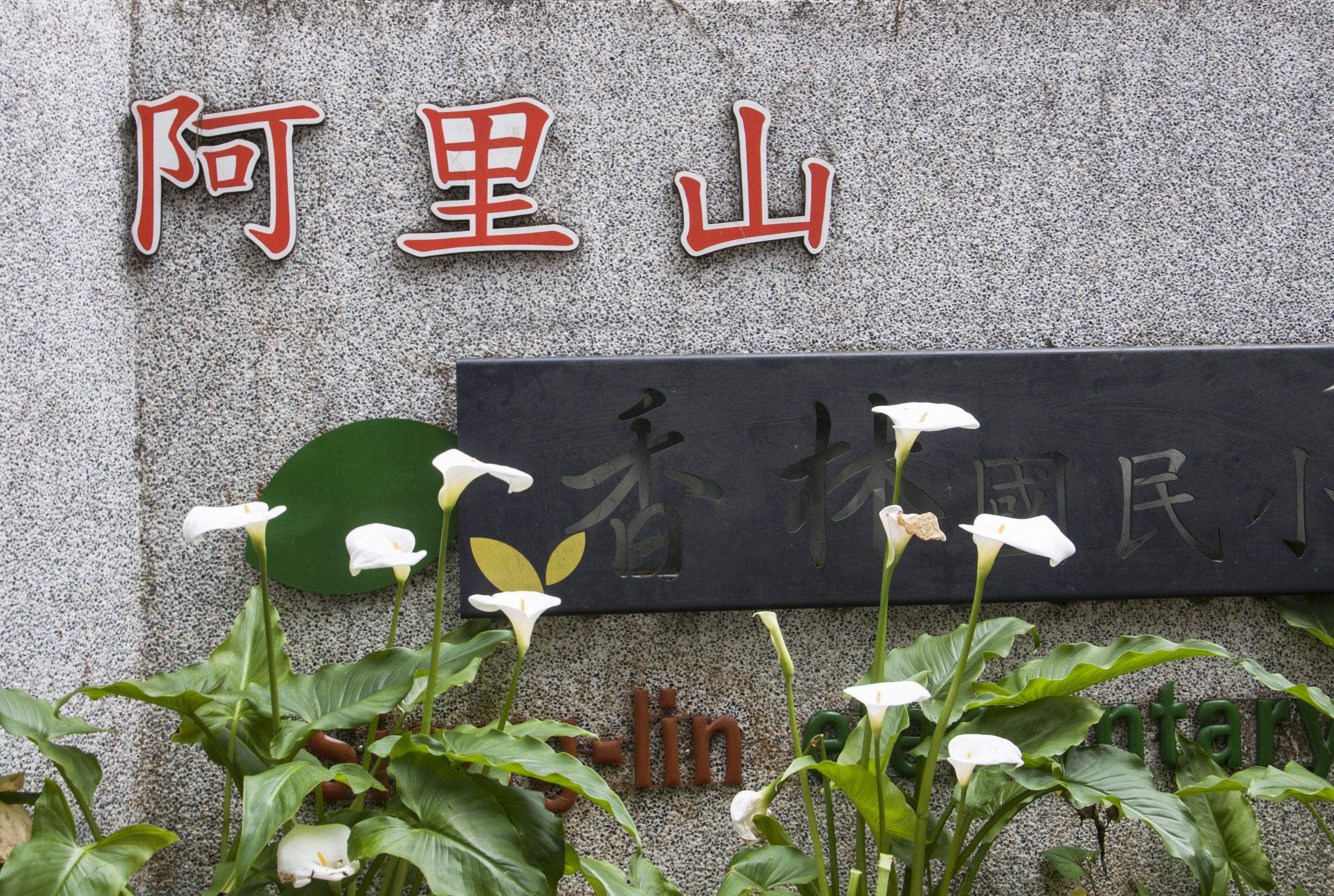 台湾印象图片,台湾印象之日月潭