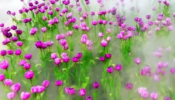 四川周末有啥玩的,四川周末好去处