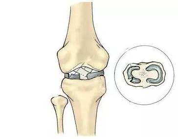 谈虎色变配图,谈虎色变上一句