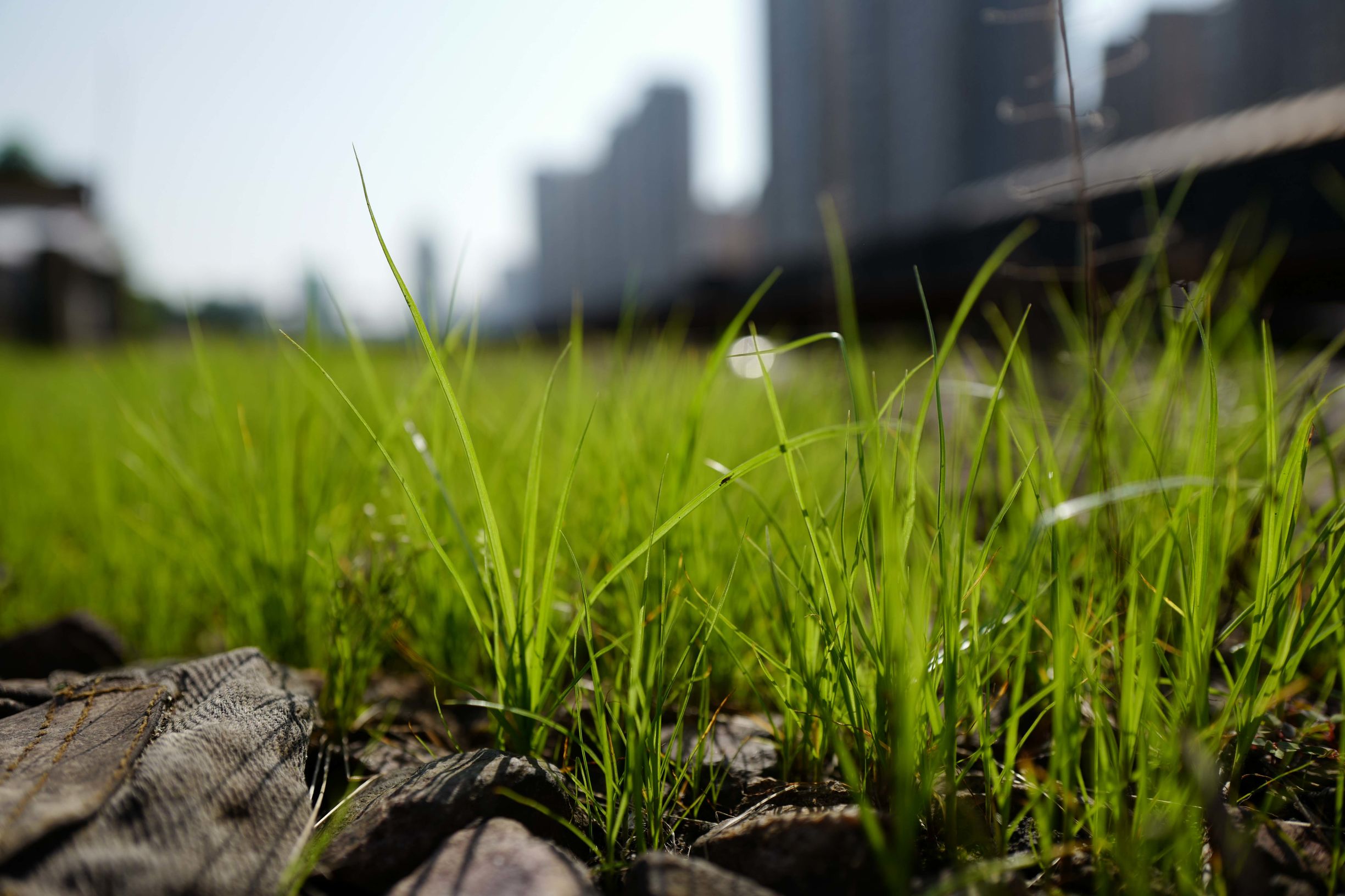 这才是德味-LeicaQ一个月使用报告