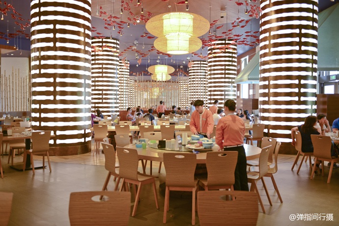 珠海长隆旅游攻略和住宿,珠海长隆周末有什么活动