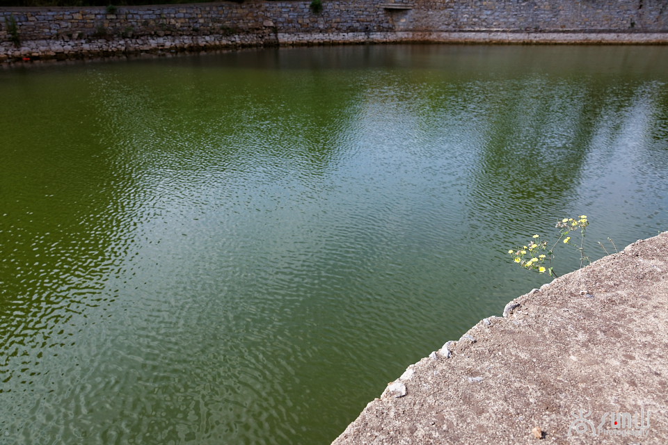 济南泉水豆腐配方,济南特色美食泉水豆腐