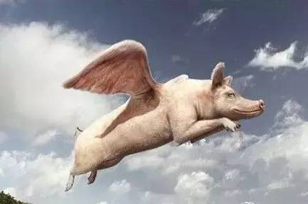 猴年马月真的来了吗,猴年马月怎么来的呢