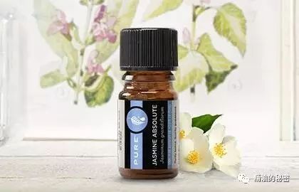 美乐家生姜精油的功效与作用,美乐家精油大全