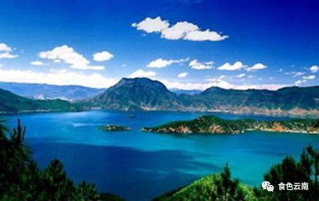 云南淡水鱼类图鉴,云南鱼类有哪些