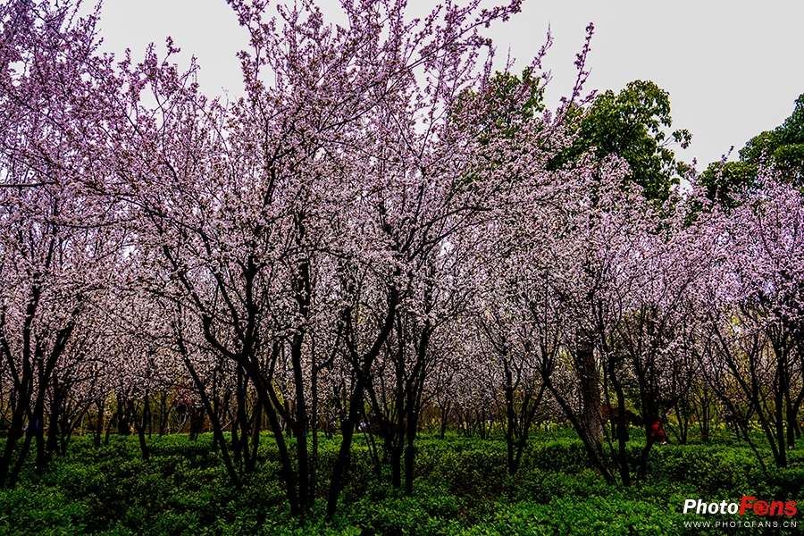 好雨知时节当春乃发生视频素材,索尼rx10iv视频性能