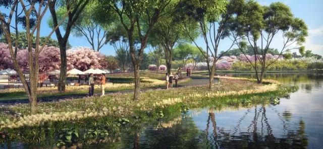 双流区新建设公园,双流规划的公园