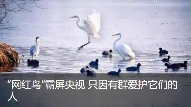 创业创新看浐灞丨坚持好产品从源头抓起它比你更关心你的健康