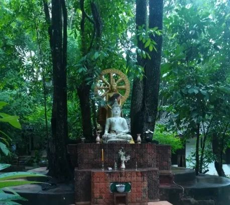 君行体验官专栏丨他在佛之国度,邂逅了一场浪漫