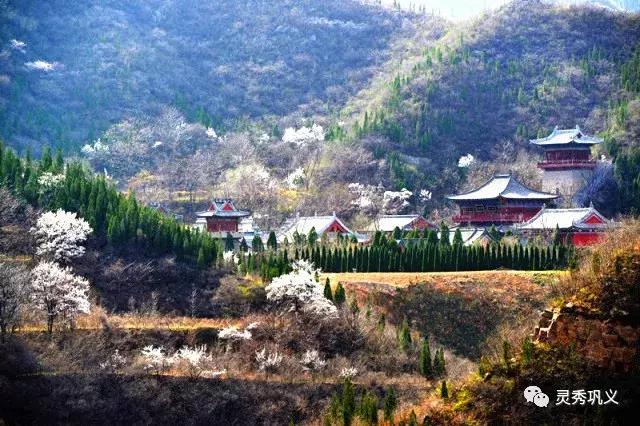 原谅她吧！巩义的春天就这么不低调